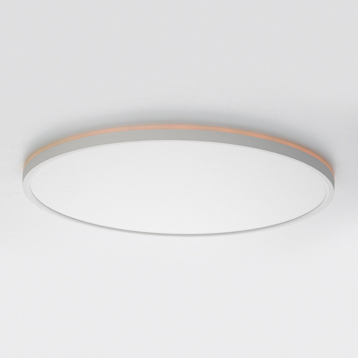 Потолочный светильник Norma CL749500 Citilux