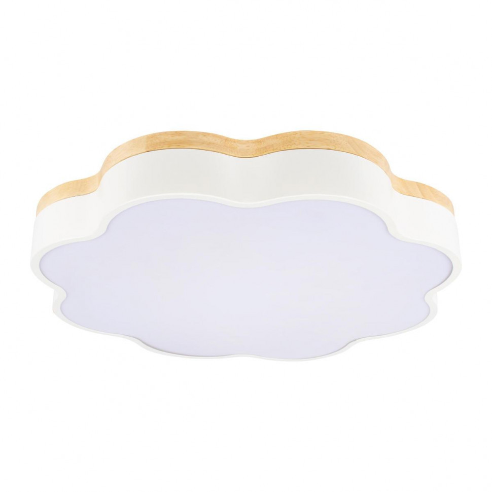 Потолочный светодиодный светильник Loft IT Axel 10225/36 White