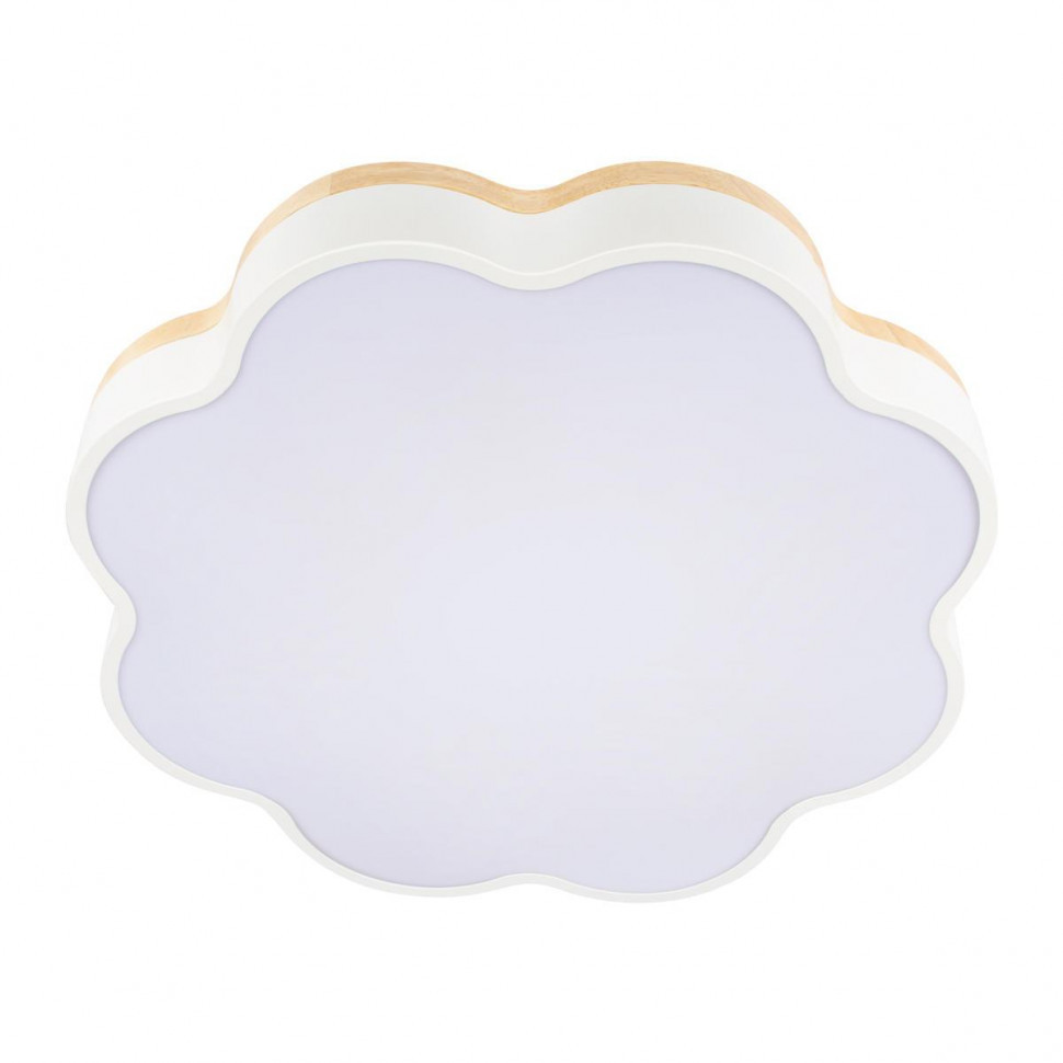 Потолочный светодиодный светильник Loft IT Axel 10225/36 White