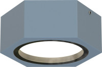 Потолочный светильник уличный Fantum 4666-1U Favourite