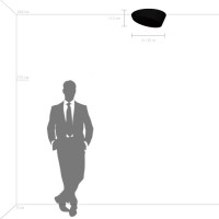 Потолочный светильник Celesta 809456 Lightstar