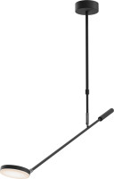 Подвесной светильник Fad MOD070CL-L8B3K Maytoni