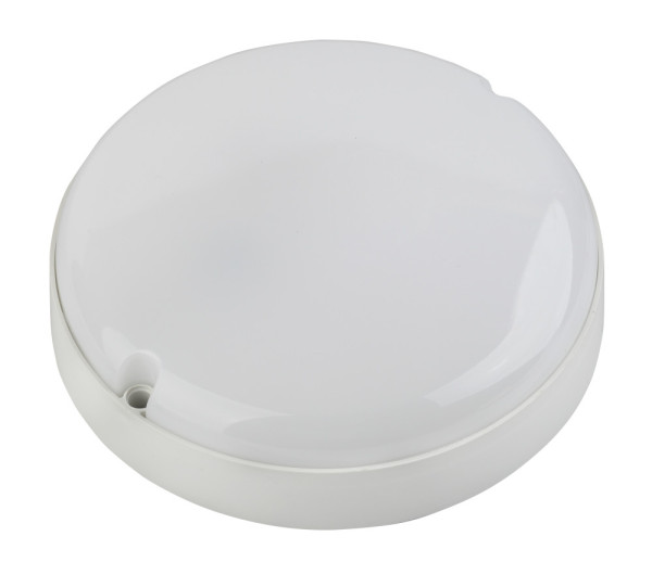 Настенно-потолочный светильник  SPB-201-0-65K-008 ЭРА