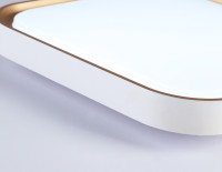 Потолочный светильник Orbital FZ1253 Ambrella