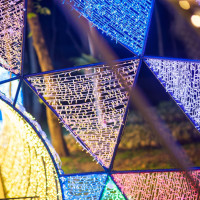 Гирлянда PRO 025839 Ardecoled