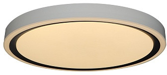 Потолочный светильник Bella ZRS.1201.04 Zortes