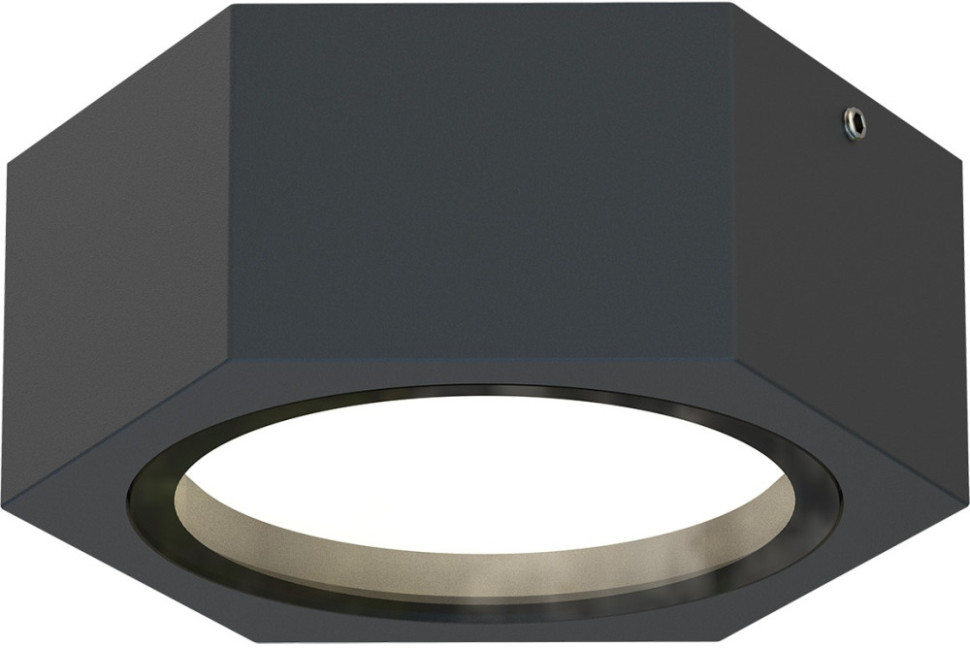 Потолочный светильник уличный Fantum 4667-1U Favourite