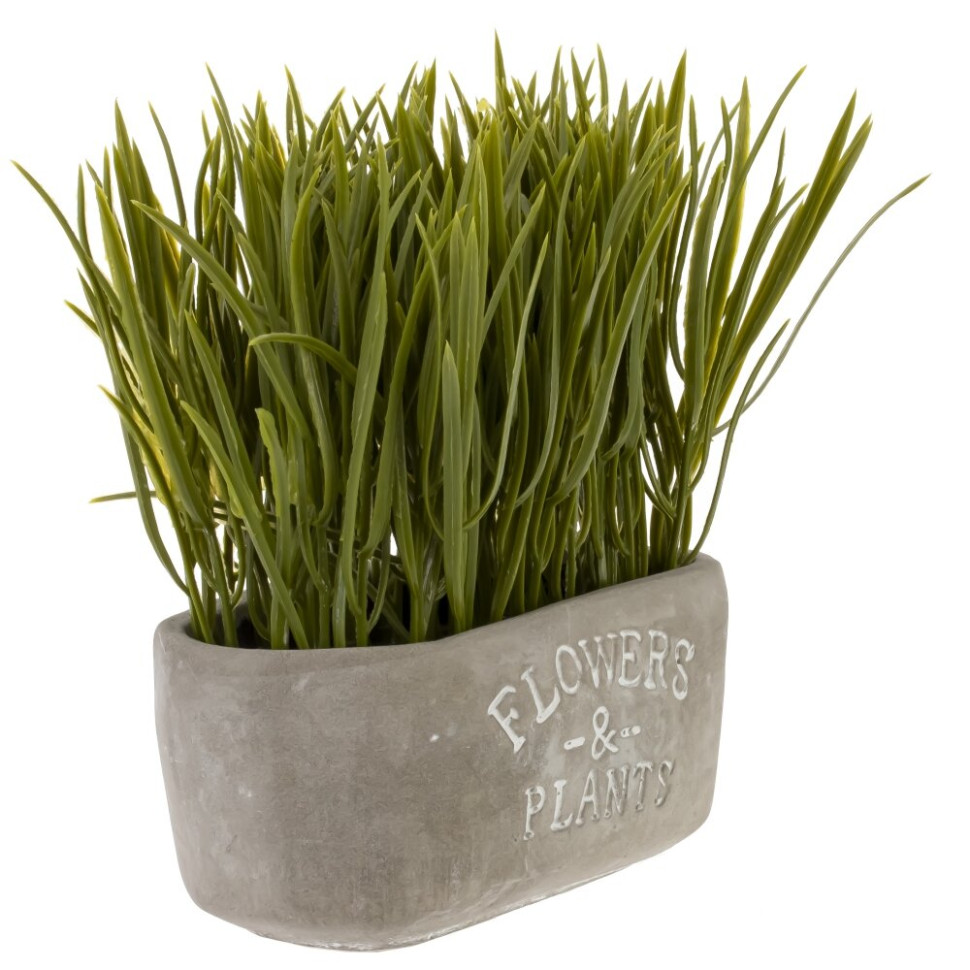 Цветочная композиция "Осока", L14 W7,5 H16 см