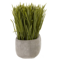 Цветочная композиция "Осока", L14 W7,5 H16 см