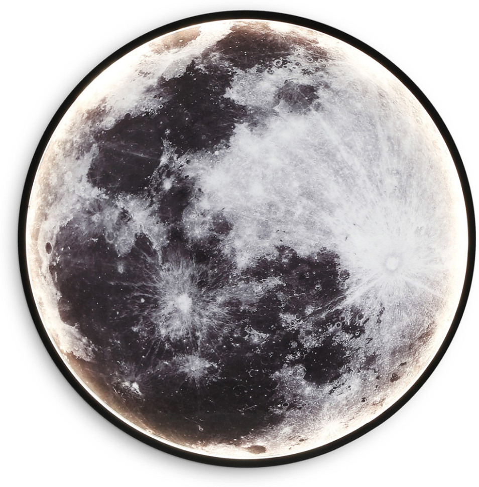 Настенно-потолочный светильник Wallers Wall FW11112 Ambrella