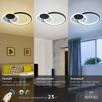 Потолочная люстра Julia 6080-108 Rivoli Потолочная люстра Julia 6080-108 Rivoli