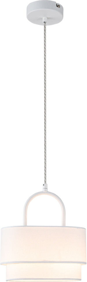 Подвесной светильник Borsa V000439 Indigo