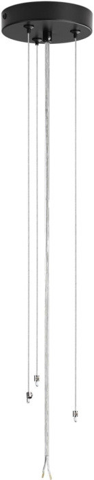 Потолочный светильник Animaisa 8003/6C Lumion