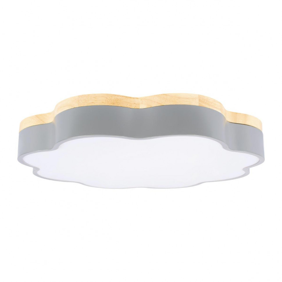 Потолочный светодиодный светильник Loft IT Axel 10225/36 Grey