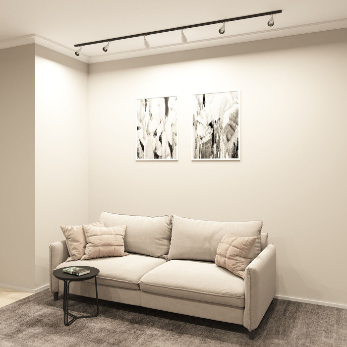 Трековый светильник BELL DK6050-BW+BK Denkirs