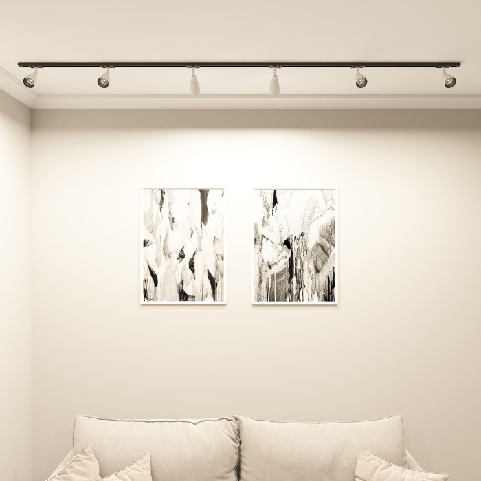 Трековый светильник BELL DK6050-BW+BK Denkirs