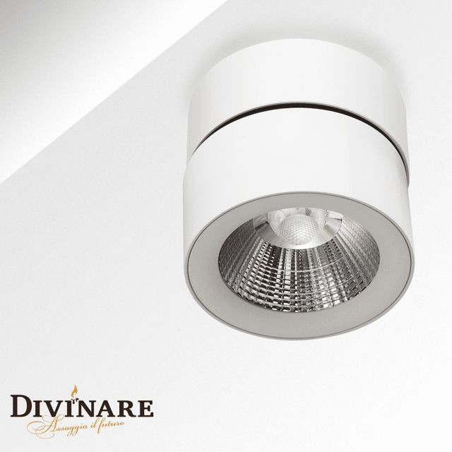 Потолочный светильник Urchin 1295/03 PL-1 Divinare