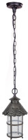 Уличный светильник подвесной CAIOR 1 81505 R Oasis Light