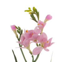 Цветок искусственный "Фрезия", L11 W6 H60 см