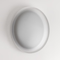 Настенно-потолочный светильник Jolly 7775/DLN Sonex