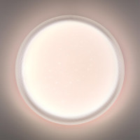 Настенно-потолочный светильник Jolly 7775/DLN Sonex