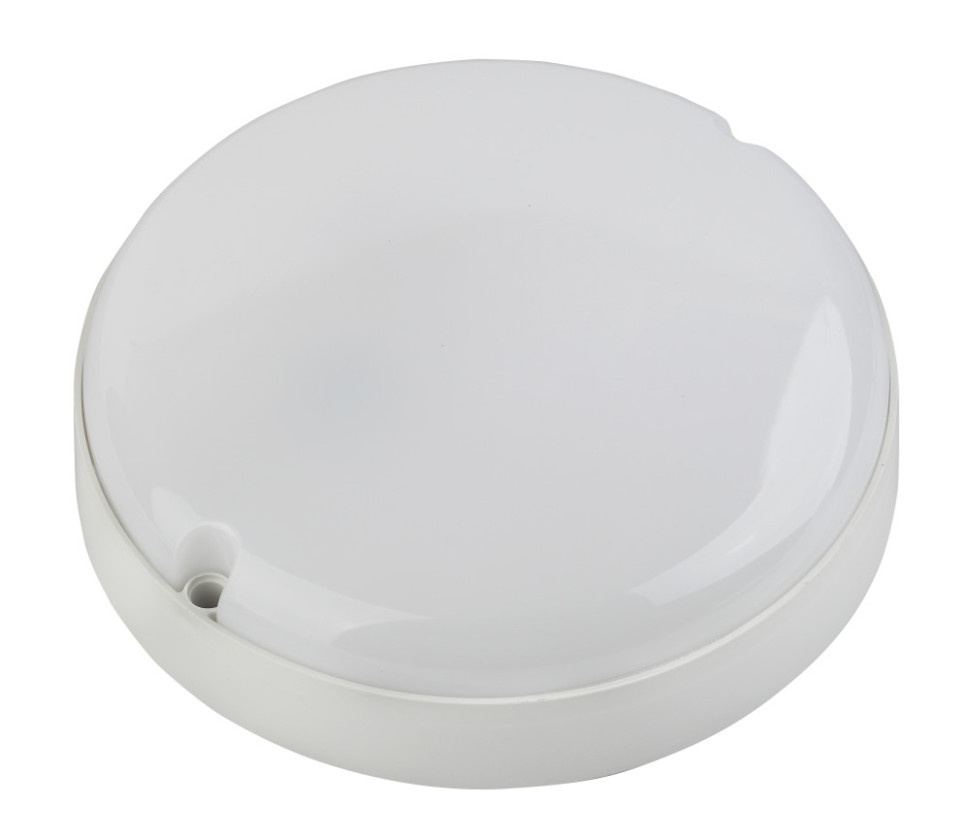 Настенно-потолочный светильник  SPB-201-0-40K-012 ЭРА