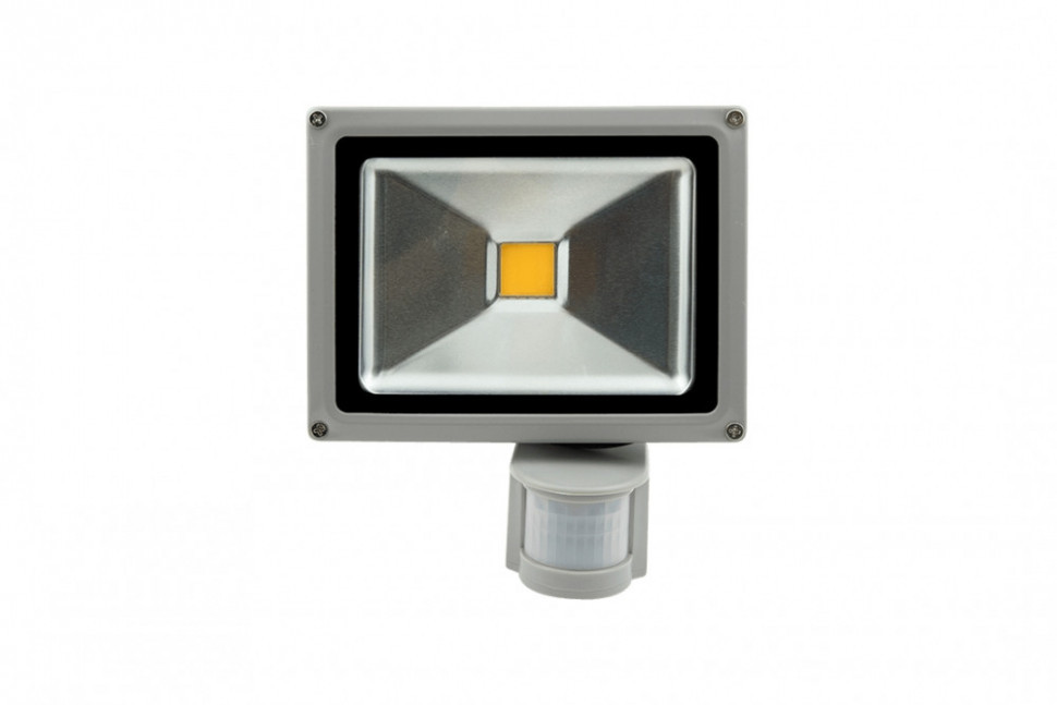 Прожектор уличный FL-COB-20-CW-S SWG