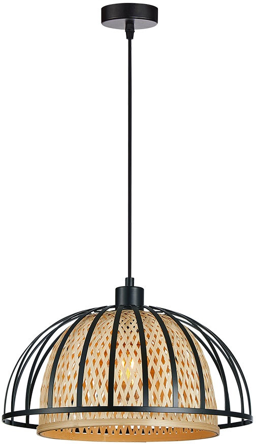 Подвесной светильник Woodstock A7071SP-1BK Arte Lamp