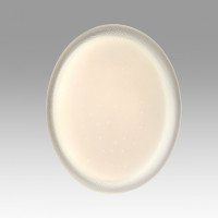 Настенно-потолочный светильник Jolly 7775/ELN Sonex