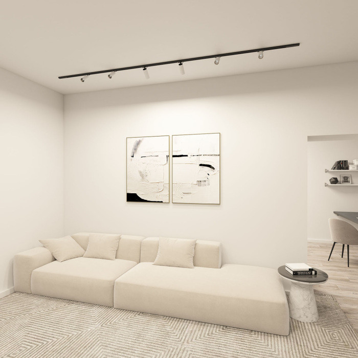 Трековый светильник Scope DK6060-BW+BK Denkirs