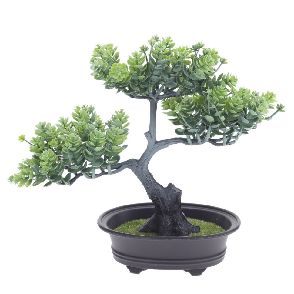 Цветочная композиция "Бонсай", L24 W14 H26 см, 2в.