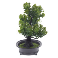 Цветочная композиция "Бонсай", L24 W14 H26 см, 2в.