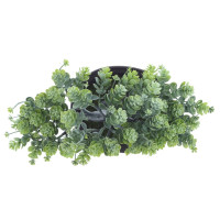 Цветочная композиция "Бонсай", L24 W14 H26 см, 2в.