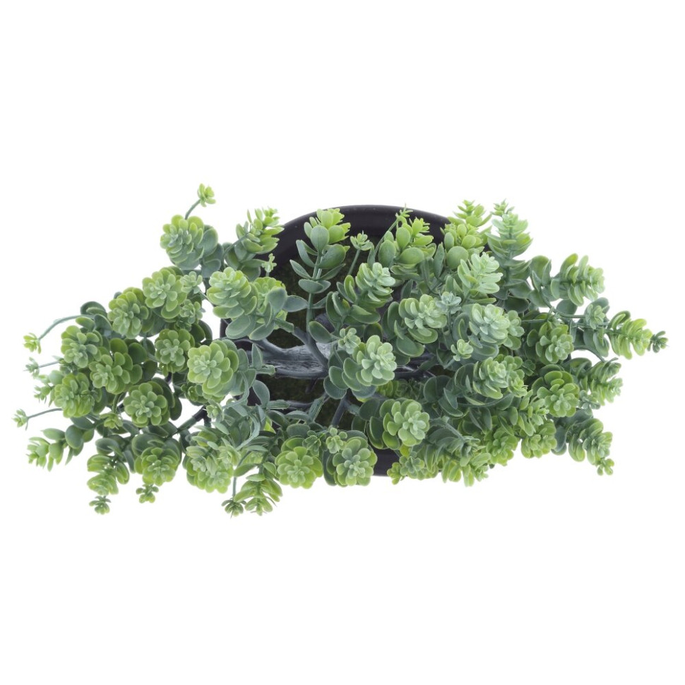 Цветочная композиция "Бонсай", L24 W14 H26 см, 2в.