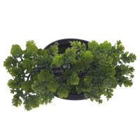 Цветочная композиция "Бонсай", L24 W14 H26 см, 2в.