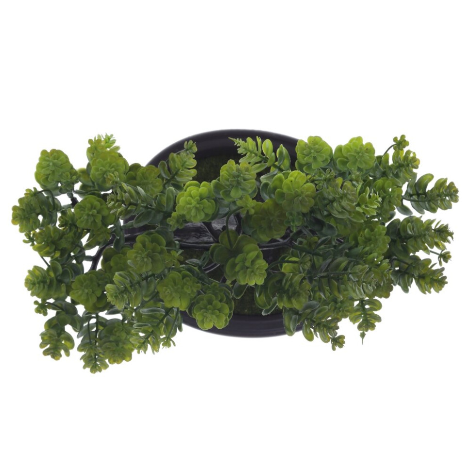 Цветочная композиция "Бонсай", L24 W14 H26 см, 2в.