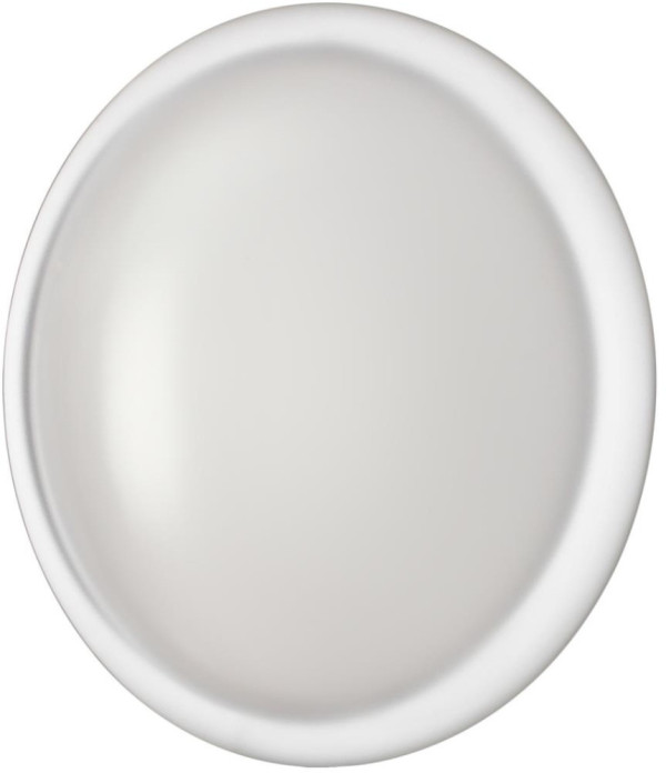 Настенно-потолочный светильник Jolly 7776/DLN Sonex