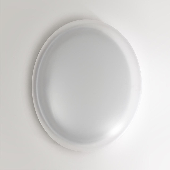 Настенно-потолочный светильник Jolly 7776/DLN Sonex