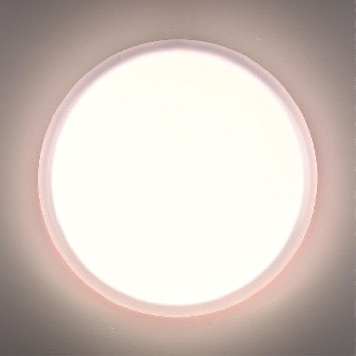 Настенно-потолочный светильник Jolly 7776/DLN Sonex