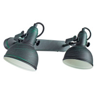 Спот Martin A5213AP-2BG Arte Lamp
