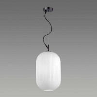 Подвесной светильник Odeon Light Pendant Roofi 4752/1
