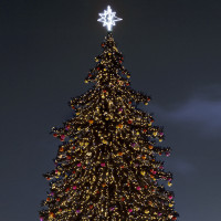 Гирлянда PRO 025854 Ardecoled