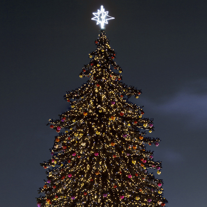 Гирлянда PRO 025854 Ardecoled