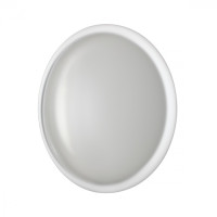 Настенно-потолочный светильник Jolly 7776/ELN Sonex