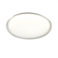 Настенно-потолочный светильник Jolly 7776/ELN Sonex