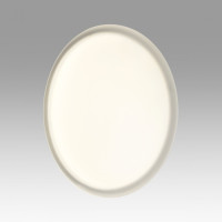 Настенно-потолочный светильник Jolly 7776/ELN Sonex