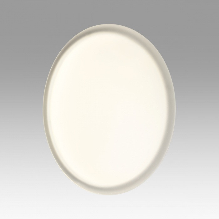 Настенно-потолочный светильник Jolly 7776/ELN Sonex