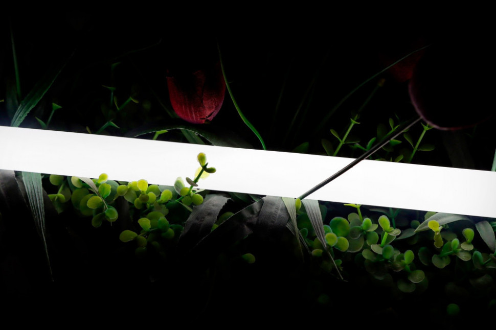 Гибкий неон 360 SWG-2360-24-NW-66 SWG