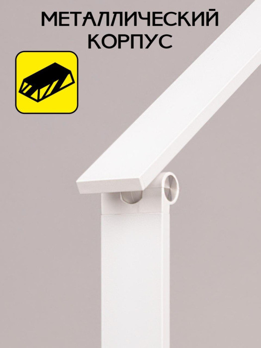 Офисная настольная лампа Ньютон CL803080 Citilux