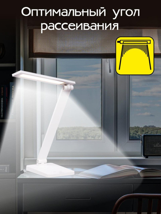 Офисная настольная лампа Ньютон CL803080 Citilux